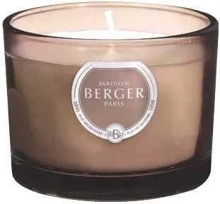 Maison Berger Paris BERGER Joy mini duo difuzér 0,08l + svíčka 80g Garden of Agaves/Zahrada agáve