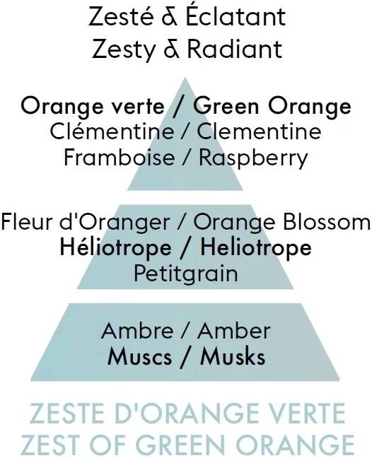Maison Berger Paris BERGER CAR difuzér do auta Dolce s náplní Zest of Green Orange/Zelená pomerančová kůra stříbrný