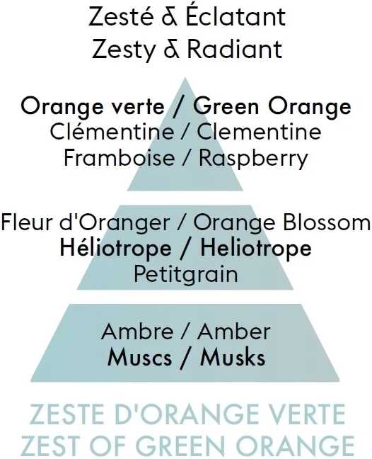 Maison Berger Paris BERGER CAR difuzér do auta Dolce s náplní Zest of Green Orange/Zelená pomerančová kůra stříbrný