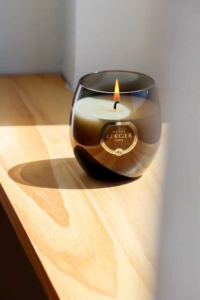 Maison Berger Paris BERGER Holly svíčka Ambrový prach 200g hnědá