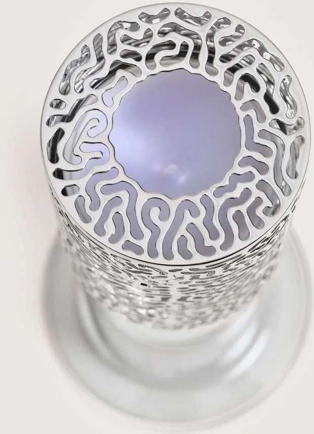 Maison Berger Paris BERGER Starck svíčka Peau de Pierre/Tvář z kamene 120g šedá