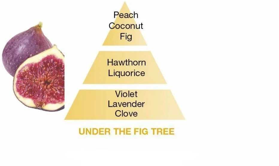 Maison Berger Paris BERGER Under the Fig Tree/Pod fíkovníkem náplň do difuzéru 0,2l