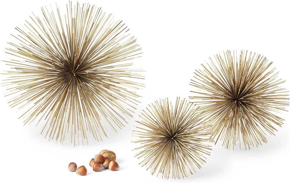 Philippi Riccio hvězda, vel. S