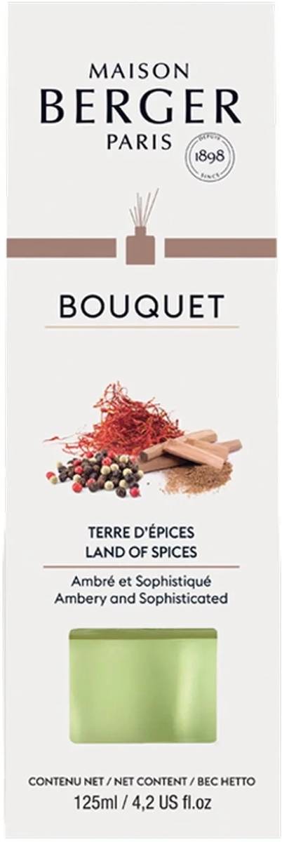 Maison Berger Paris Aroma difuzér Cube, Země koření 125 ml