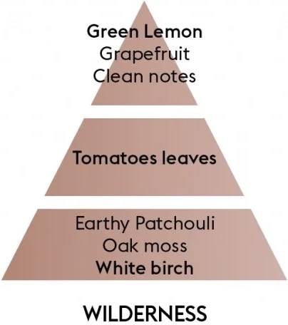 Maison Berger Paris Aroma difuzér Lilly, Divočina 115 ml