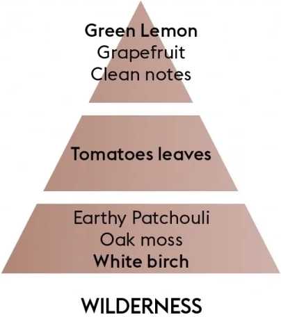 Maison Berger Paris Aroma difuzér Lilly, Divočina 115 ml