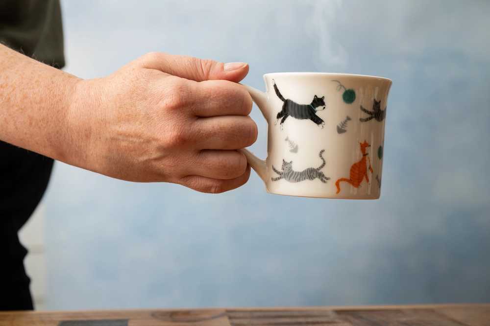 Mikasa Hrnek Cat, 300 ml