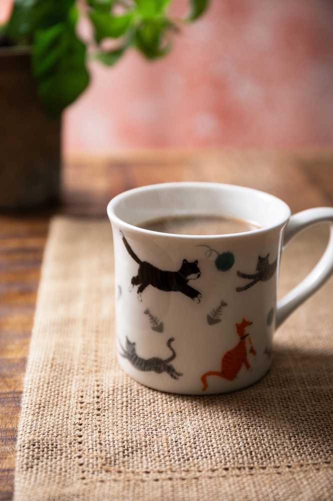 Mikasa Hrnek Cat, 300 ml