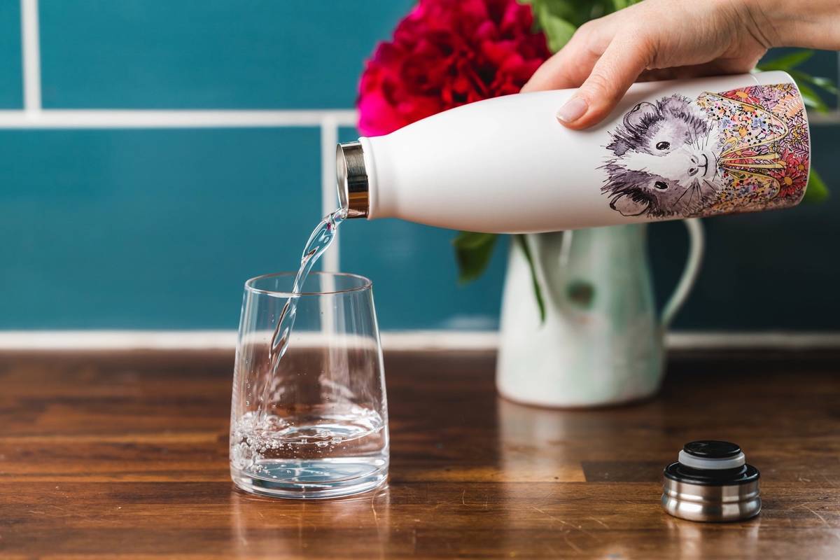 Mikasa Tipperleyhill Láhev na vodu, 500 ml, motiv morčete