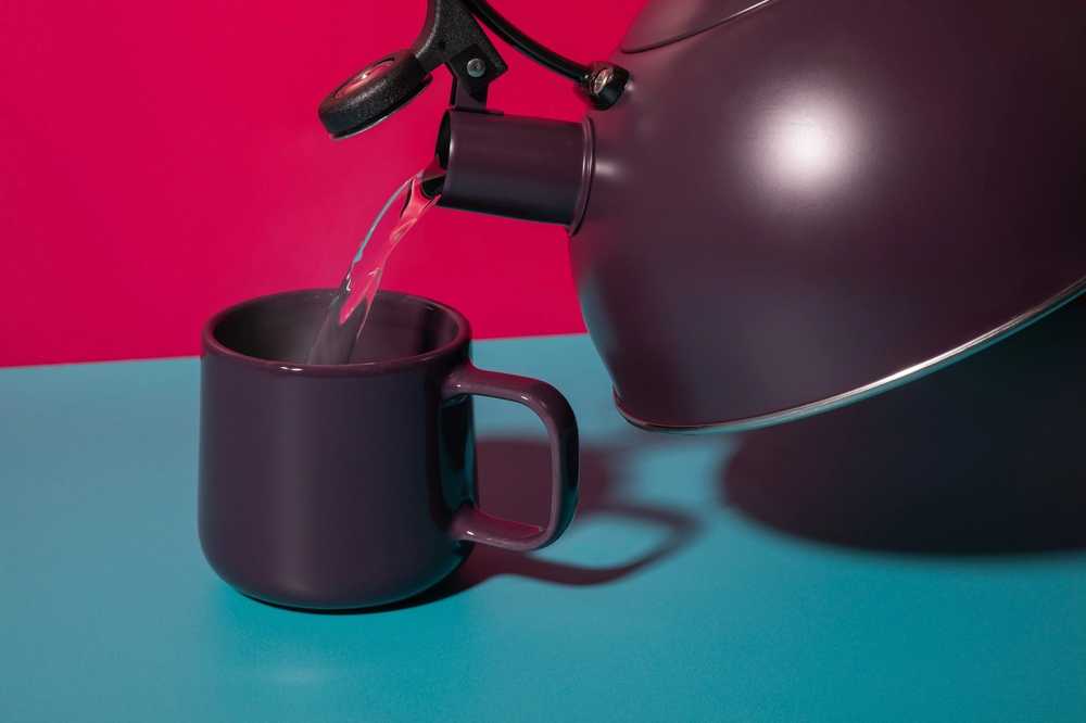 La Cafetière Konvice na vodu s píšťalkou, fialová, 1.6 l
