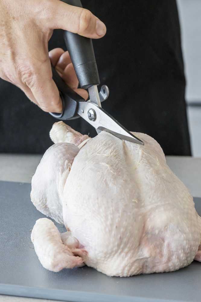 MasterClass Nůžky na drůbež, 24 cm