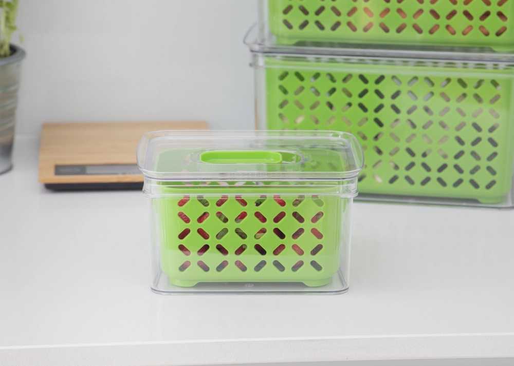 MasterClass Fresh Keeper Úložný box na ovoce a zeleninu, 1.6 l