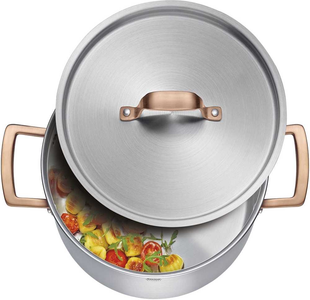 Spring Hrnec s poklicí Gourmet, 20 cm, růžovozlatá