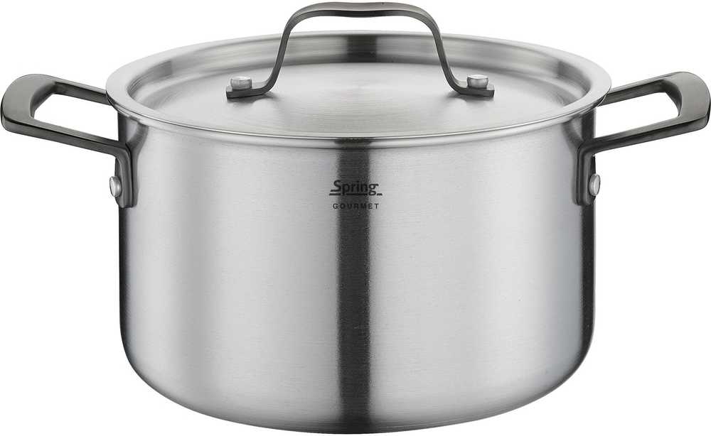 Spring Hrnec s poklicí Gourmet, 20 cm, černá