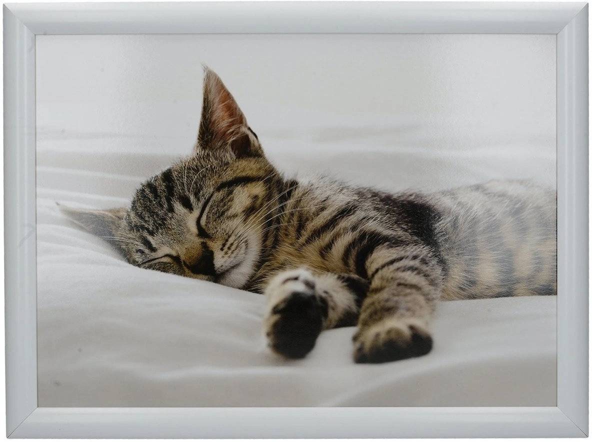 Creative Tops Podnos na klín, Sleeping Kitten