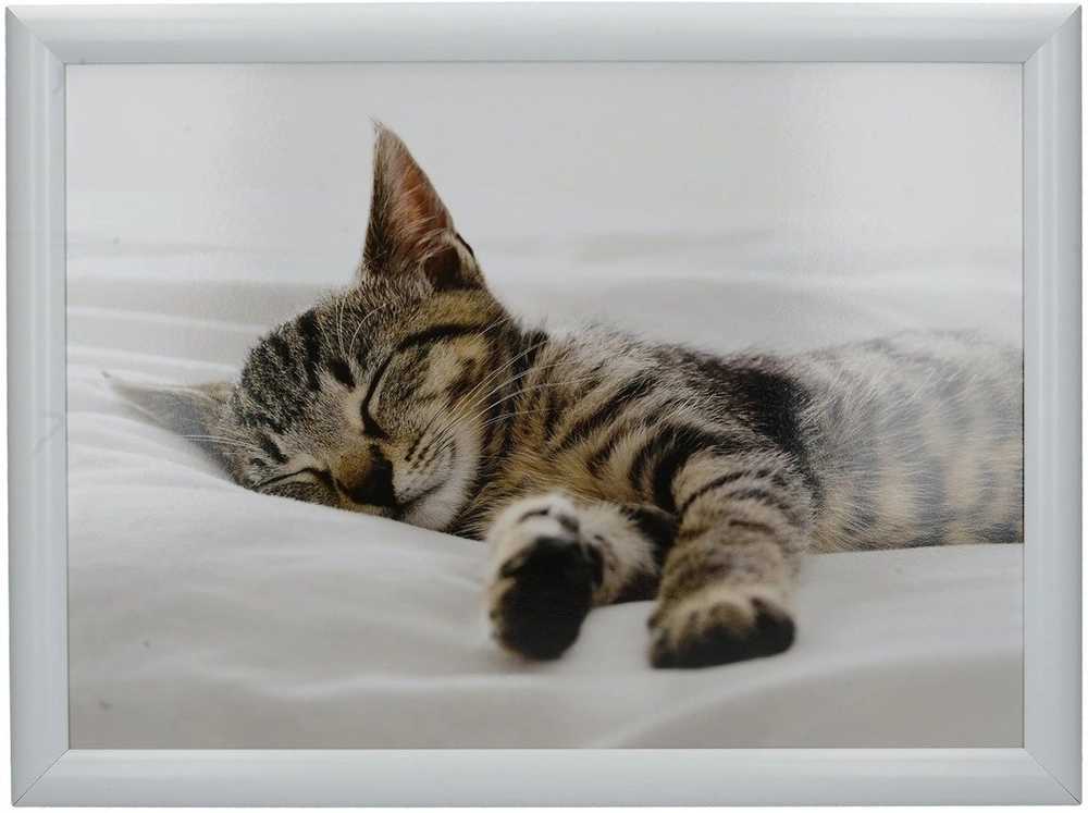 Creative Tops Podnos na klín, Sleeping Kitten