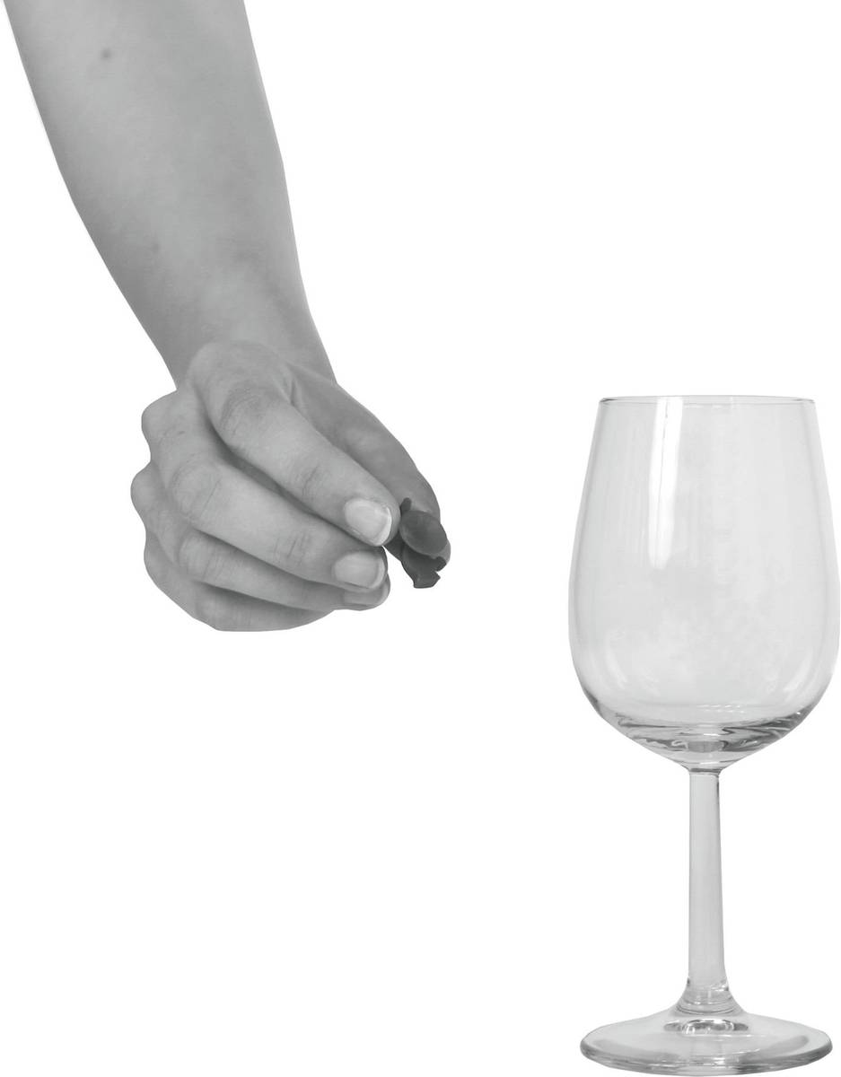 Cilio Rozlišovače skleniček Nautico, 12 ks