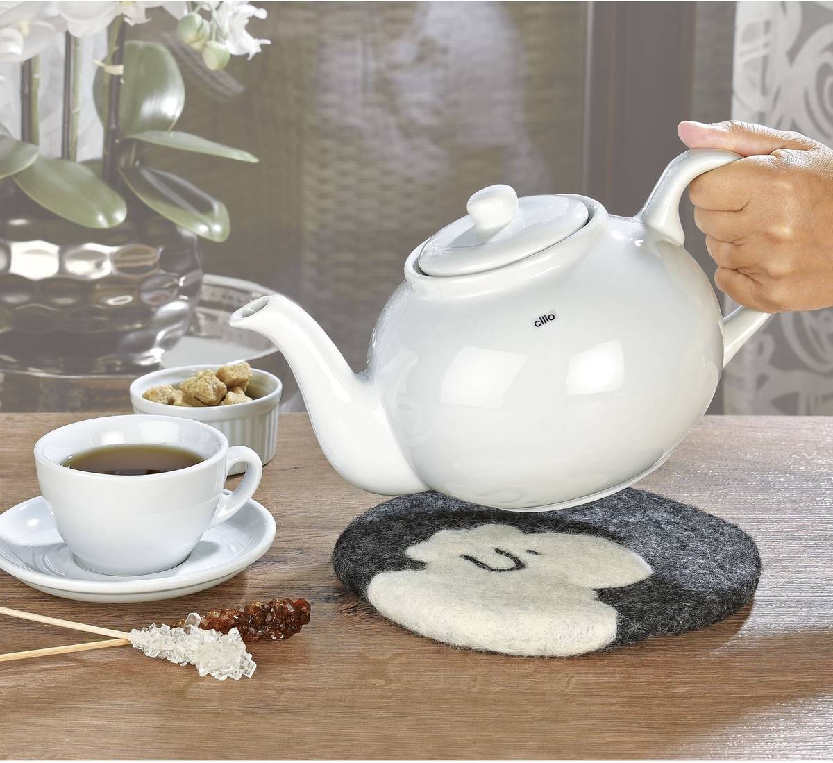 Cilio Podtácek Lana, ovečka