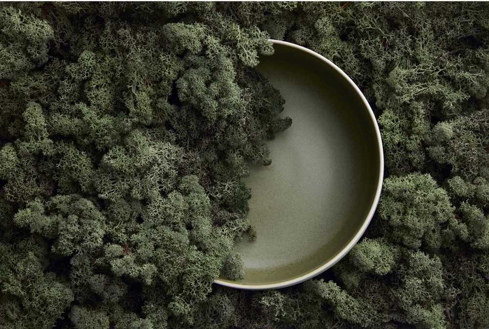 Studio Round Kameninová mísa na salát North 25 cm White/Matte Moss