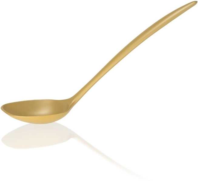 Rosti Servírovací lžíce Classic Curry