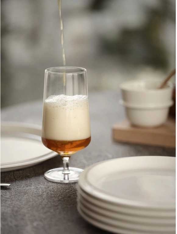 Zone Denmark Sklenice na pivo 30cl Rocks Clear