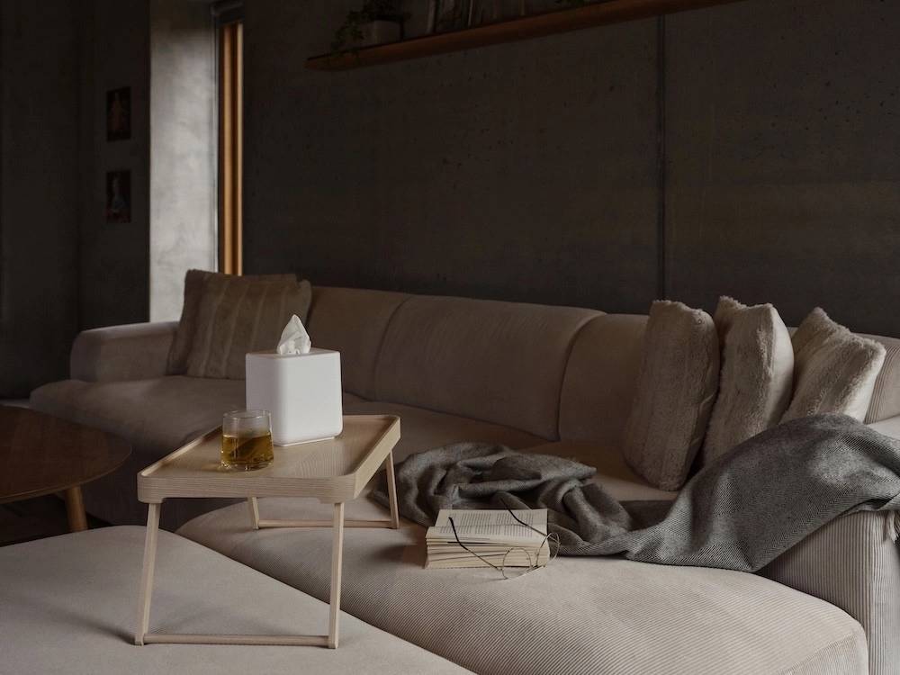 Zone Denmark Box na kapesníky Ume White