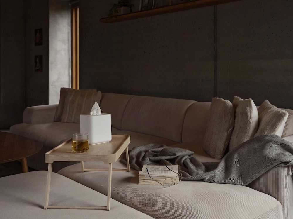 Zone Denmark Box na kapesníky Ume White