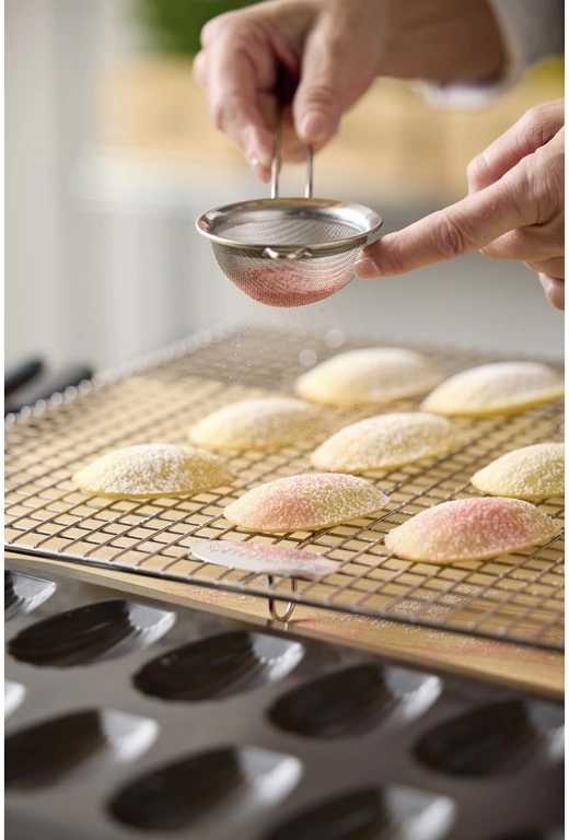 Blomsterbergs Forma na madlenky (12ks)