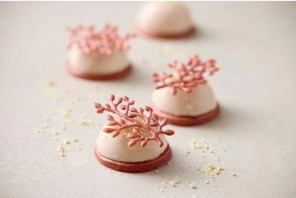 Blomsterbergs Silikonová forma na ozdoby čokoládové Větve Latte