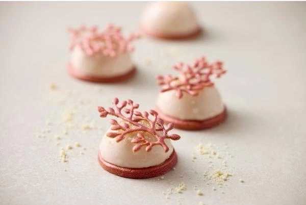 Blomsterbergs Silikonová forma na ozdoby čokoládové Větve Latte