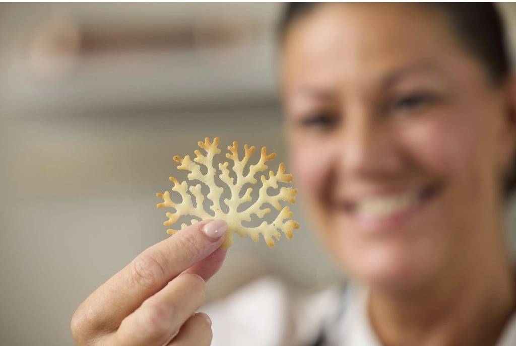 Blomsterbergs Silikonová forma na čokoládové ozdoby Strom Latte