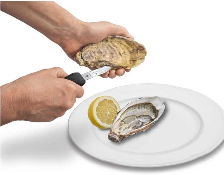 Victorinox Nůž na ústřice
