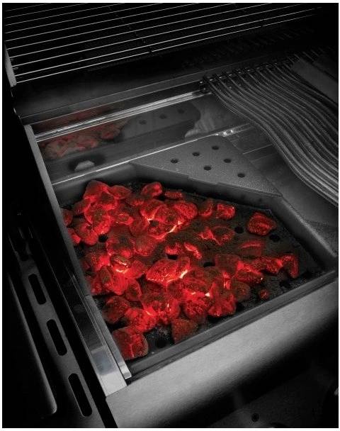 Napoleon Litinová vložka na dřevěné uhlí