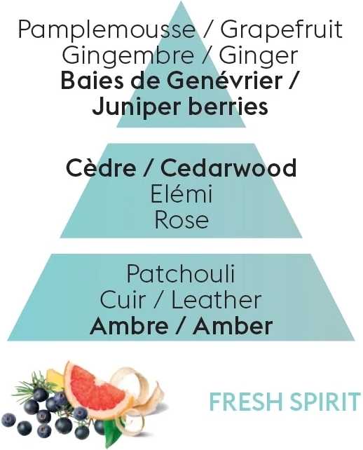 Maison Berger Paris Aroma difuzér Mini Estival s náplní Fresh Spirit, 90 ml