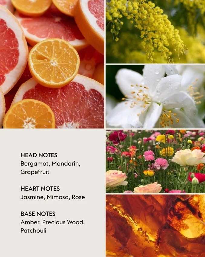 Maison Berger Paris Sada Duo Mini Eternity, difuzér + náplň + svíčka