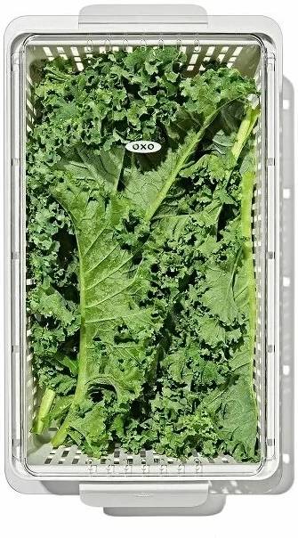 OXO Organizér do lednice, 37.5 x 19 cm