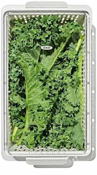 OXO Organizér do lednice, 37.5 x 19 cm