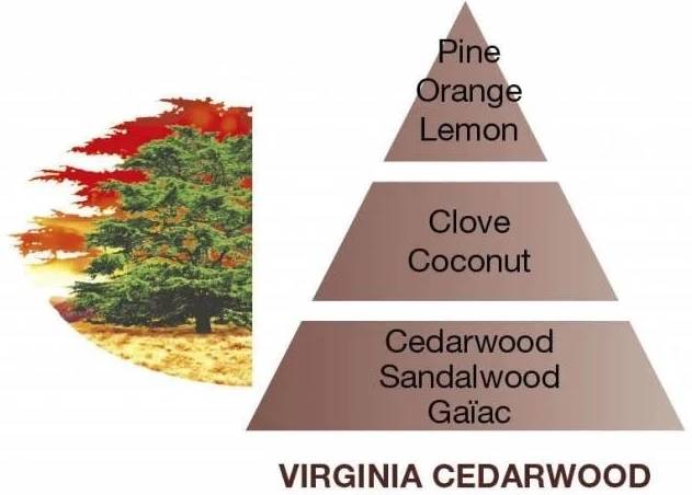 Maison Berger Paris Aroma difuzér Cube s náplní Virginia Cedarwood, 100 ml