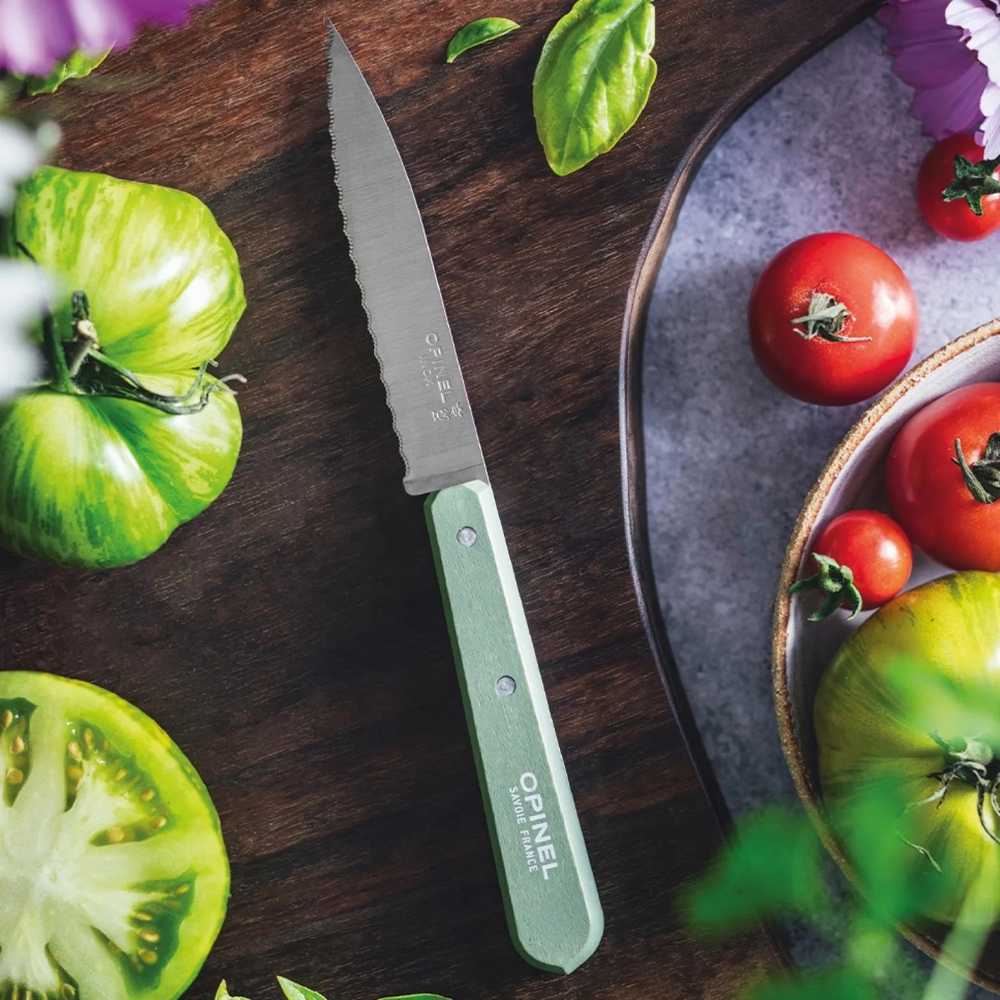 Opinel Paysage Vroubkovaný nůž N°113, šalvějová