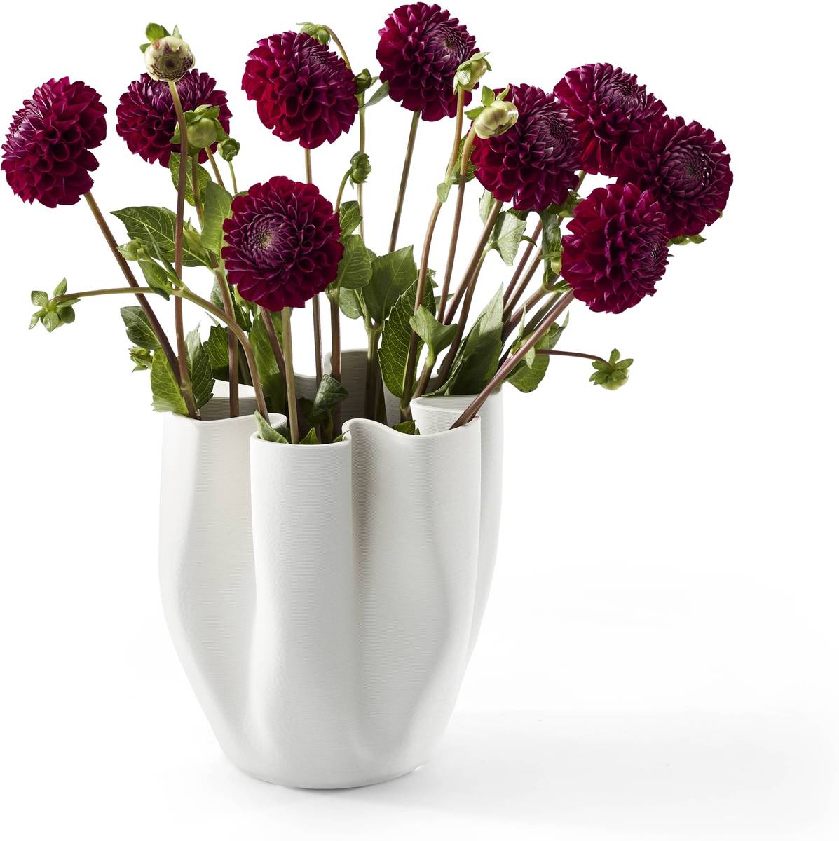 Philippi Váza Livree