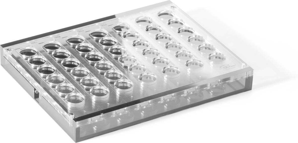 Philippi Designová hra 4 v řadě Yap