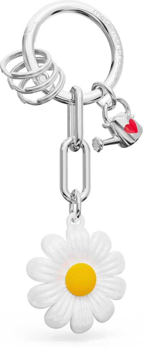 Meta[l]morphose Klíčenka s kopretinou a konvičkou